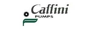 Caffini